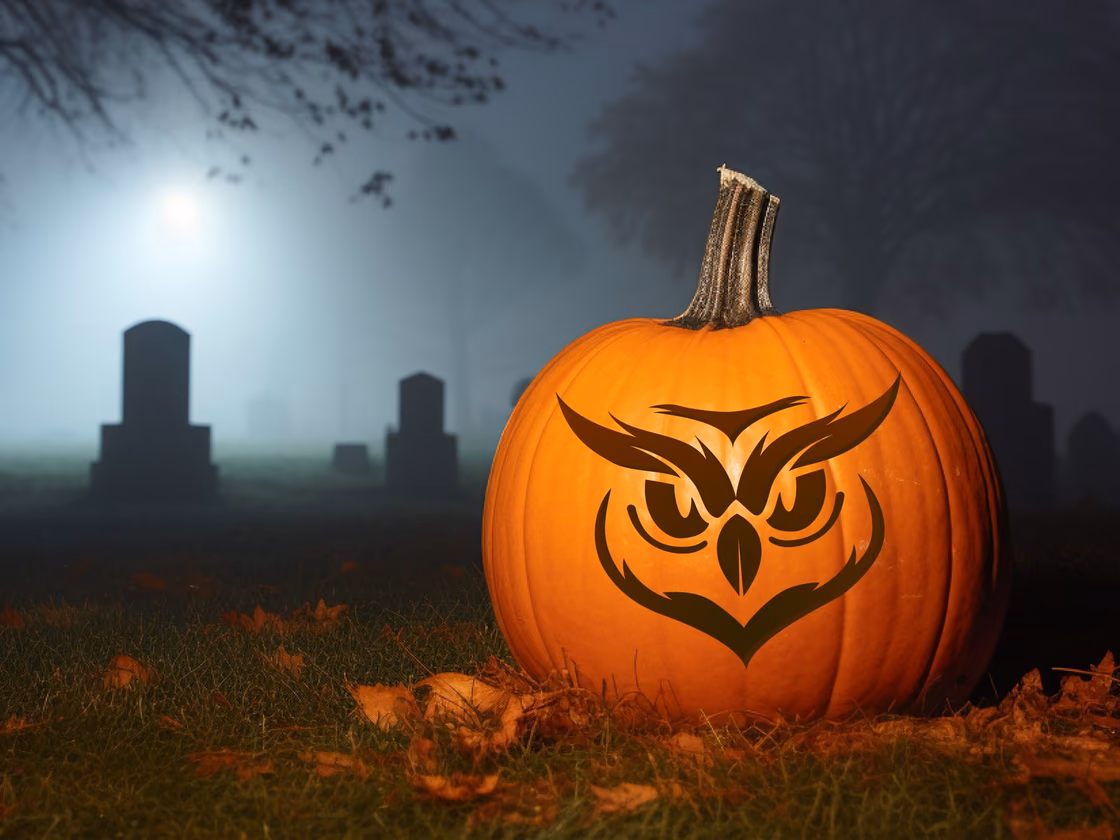 Owl pumpkin carving stencil, view 3