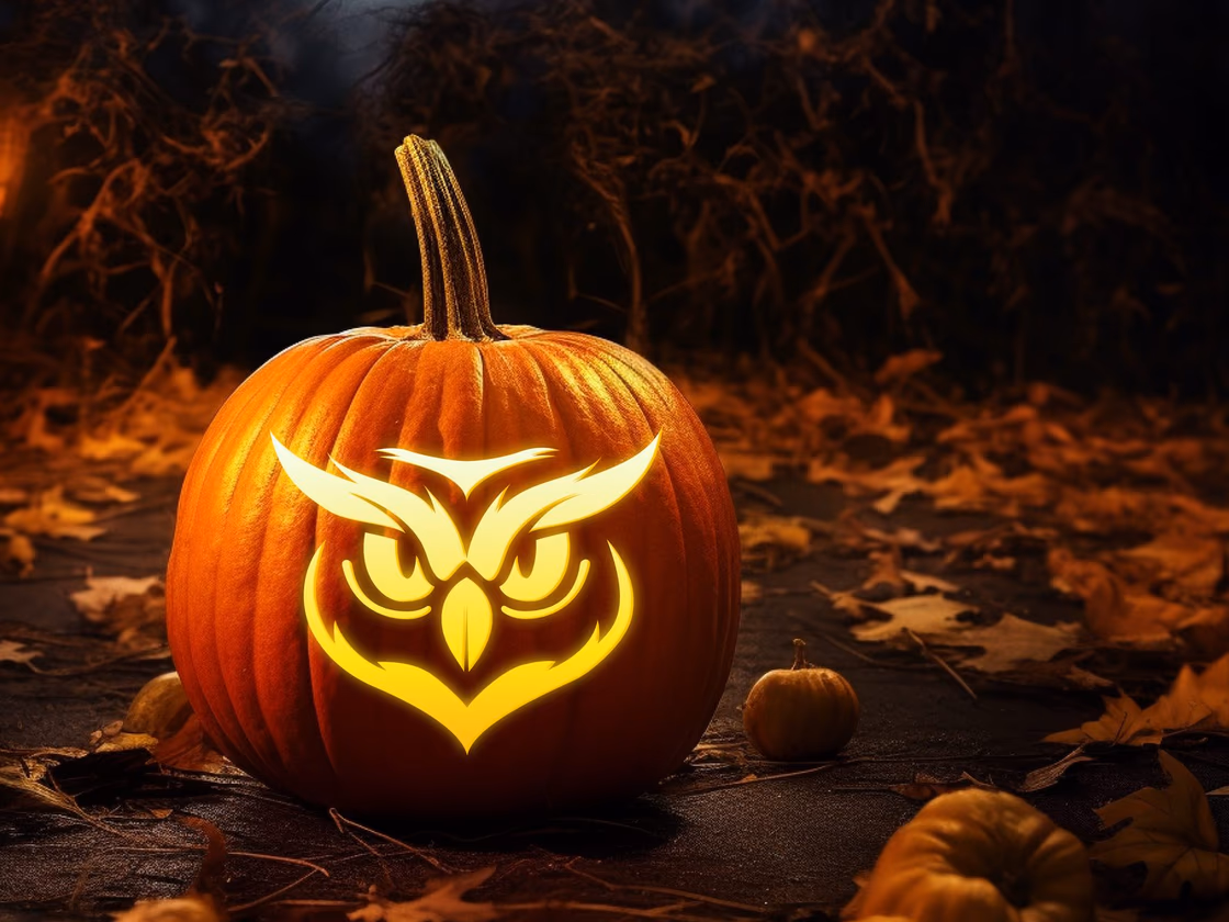 Owl pumpkin carving stencil, view 5
